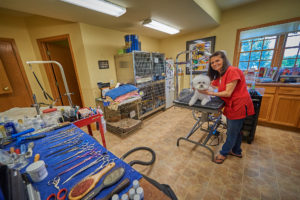 Dog on Grooming table at the dogwoods Mount Horeb, WI