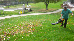 Owner Ed blowing leaves at the dogwoods