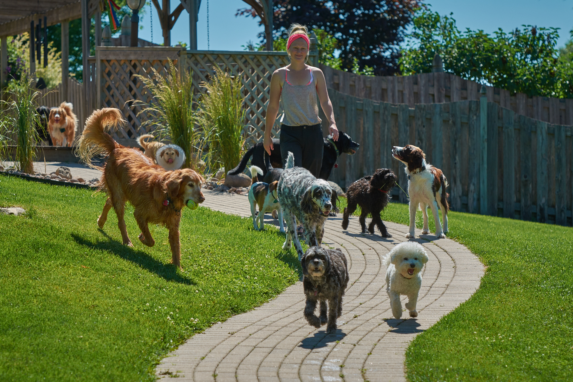 Head Nanny Amanda with Dogs at the Dogwoods Mount Horeb WI