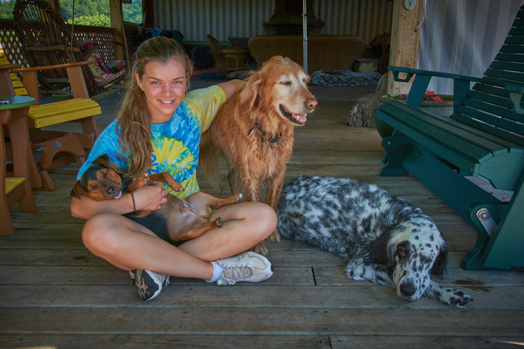 Keeping your canine cool in the shade at The Dogwoods, Mount Horeb, WI